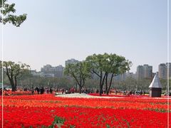 -大宁公园
