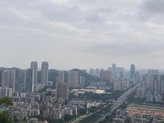 -板樟山森林公园