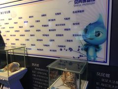 景点-贝壳梦幻世界