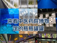 -广东中医药博物馆