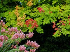 -杭州城北体育公园