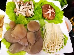 -蝎王府羊蝎子(西直门店)