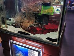 -太平洋海底世界