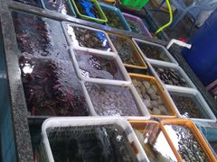-霞涌市场海鲜摆卖区