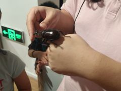 -上海昆虫博物馆