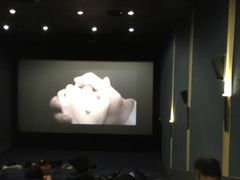 -SFC上影影城(港汇永华IMAX激光店)
