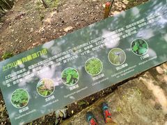 -北京上方山国家森林公园