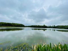 -昆山城市生态森林公园