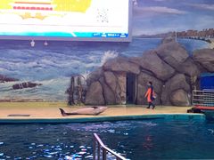 -福州罗源湾海洋世界旅游区