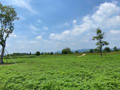 -良渚古城遗址公园