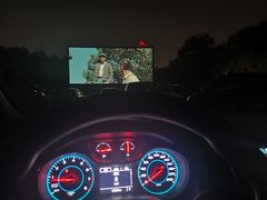 -枫花园汽车电影院(朝阳公园店)
