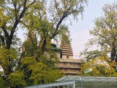 -北京石刻艺术博物馆(五塔寺)