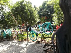 -光明港公园
