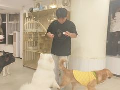 -共舞时光猫咖·狗咖(新街口店)