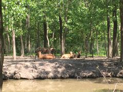 -溱湖国家湿地公园