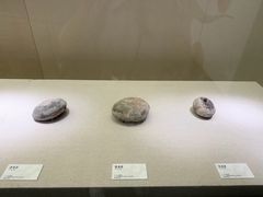 -衢州市博物馆
