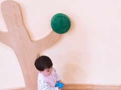 -金宝贝国际早教(洛龙正大校区)