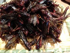 -驴脾气特色炒菜(广渠门内店)