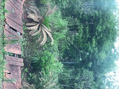 -飞天山旅游区