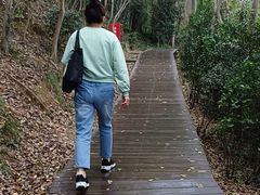 -上海佘山国家森林公园西佘山园