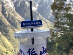 -九华山风景区