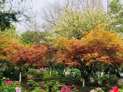 -江南大学(蠡湖校区)