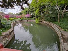 -嘉定紫藤园