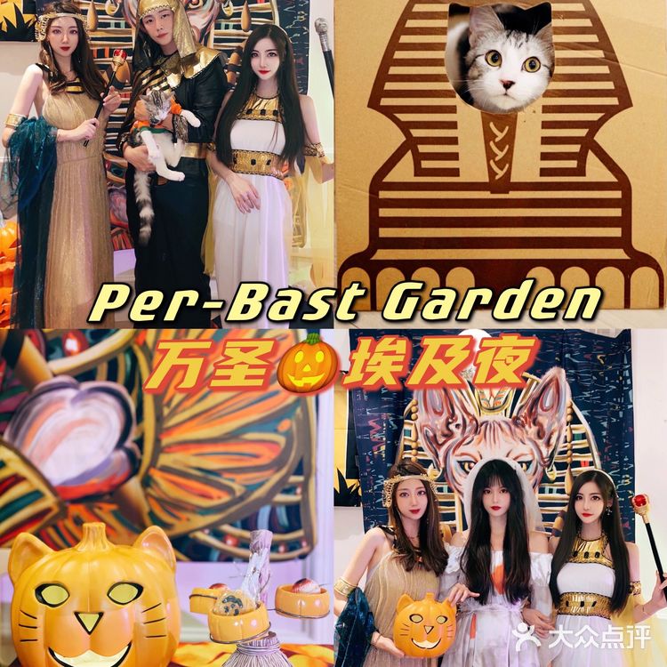 帕贝斯特猫花园|埃及艳后的万圣夜🎃🎃