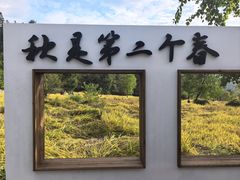 -塔川景区