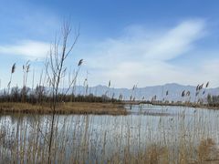 -野鸭湖国家湿地公园