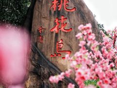-桃花岛风景旅游区