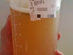 鲜柠檬茶-CoCo都可(中南CBD大有境店)