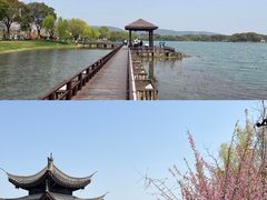 -尚湖风景区