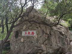 -阳台山自然风景区