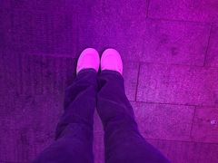 -后海公园
