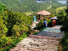 -大姆山草场