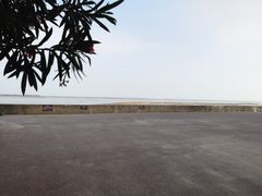 -北海金海湾红树林生态旅游区