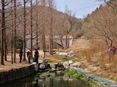 -白水寺森林公园