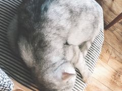 -不舍昼夜咖啡馆