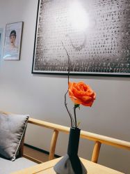 -FineYoga梵音瑜伽·普拉提