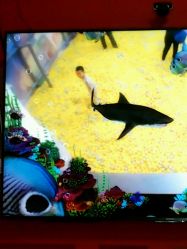 -六月巴士童乐园(抚顺罕王商场店)