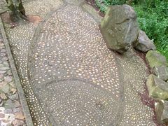 -上海佘山国家森林公园天马山园