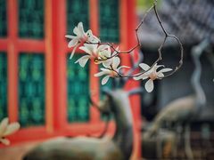-颐和园