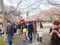 -帝京日语(春熙路旗舰校区)