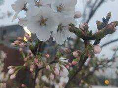 -东钱湖旅游度假区