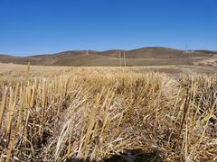 -塞罕坝国家级自然保护区