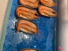 阿根廷红虾-阳光岛·海鲜盛宴(银泰中心in99店)
