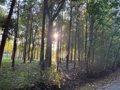 -上海海湾国家森林公园