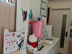 -瑞派·关忠动物医院·猫专科·犬专科(三环新城店)