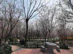 -太阳宫公园